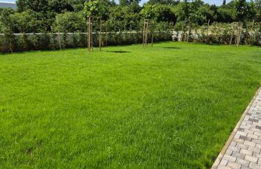 Villa Lastine near Rovinj - Photo 11