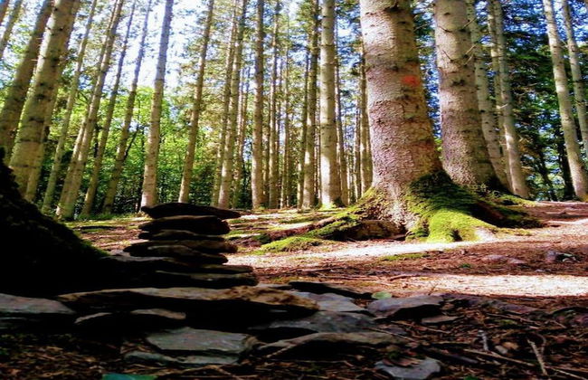 Holiday Home in La Roche With Sauna & Nature - Photo 42