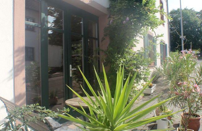 Ferienweingut Matthias Löwen - Foto 46