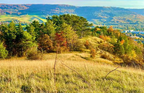 Ferienwohnung im Himmelreich - Foto 16