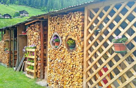 Casa vacanze Heidi e Peter Val di Rabbi - Foto 15