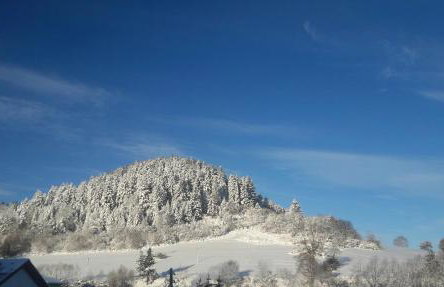 Agroturystyka-Wisłocka - Foto 18