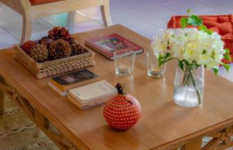 Fazenda Góes - Foto 44