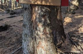 Villa Molin Del Faure - Foto 40