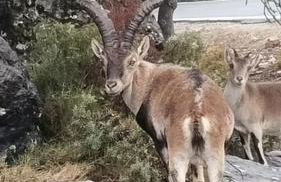 Apartamentos Sevilla - Foto 27