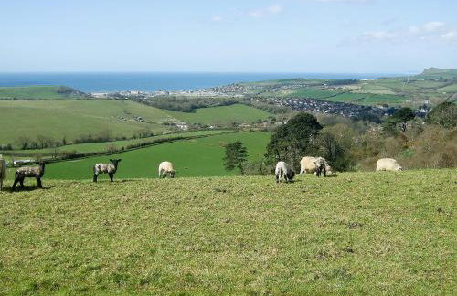 Woodbrook Cottage - Foto 27