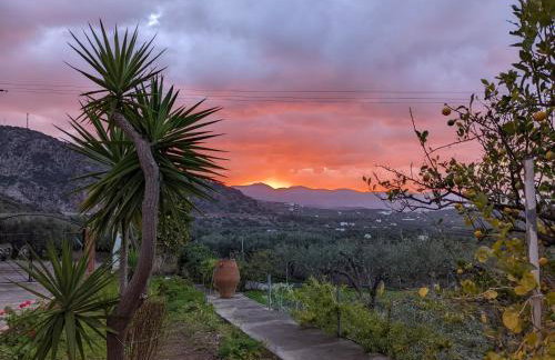 House of Polymnia - Photo 64