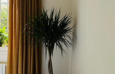 ARCHIVIO MANZONI 37 - Photo 11