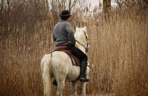 Mas Du Pont Rouge - Foto 52