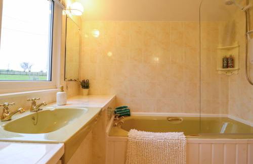 Bryn Y Garreg Cottage - The Wireless Tech Free Farm - Photo 22