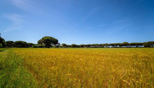 Agriturismo Bio Femminella - Foto 2