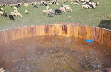 COSY CABINS - las, jezioro, góry,wyciąg Czorsztyn-Ski, prywatna sauna, jacuzzi bez limitu - Foto 61