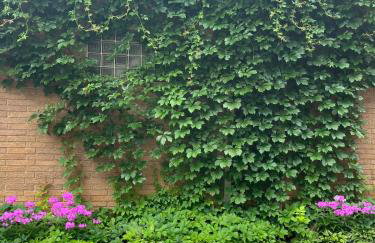 THE LOFT 3 level urban cabin with a HUGE patio! - Foto 60