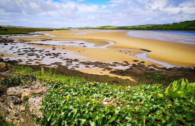 The Snuggly Sheep Shepherd Hut Campview Farm Stay - Foto 5