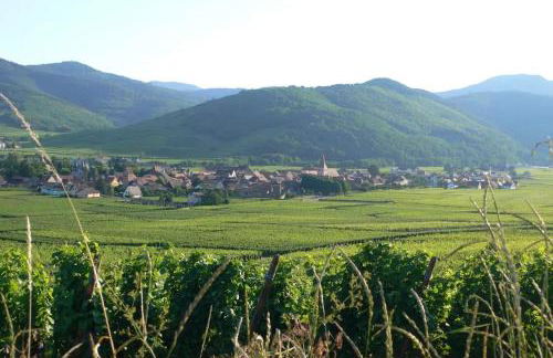 Maison cosy à Kientzheim + Parking - Foto 17