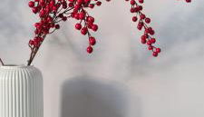 Li Ri Apartment Style - Foto 4