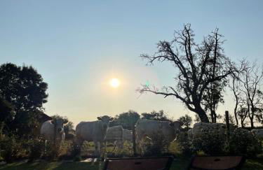 La Maison des Jonquerets - Foto 38