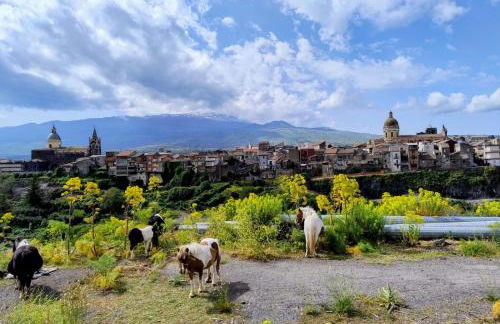 Poggio Roseto - Foto 142