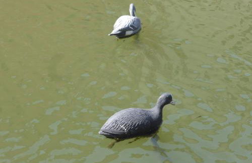 Appartamento Laguna - Foto 44