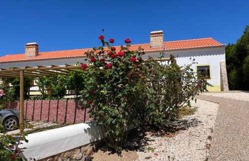 Quinta das Aguas - Photo 27