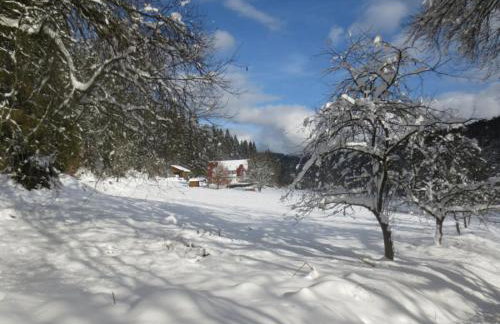 Holiday Home Tauchert - Foto 53