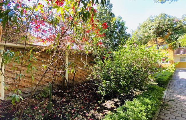 Rincòn Único Centrico - Foto 37