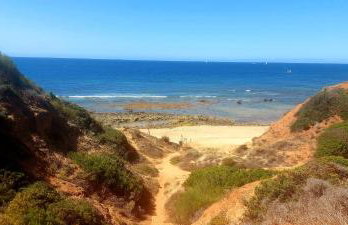 Jeannie's Oura Estrela - Foto 54