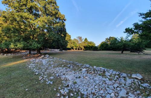 Stone House Rosuja - Foto 53