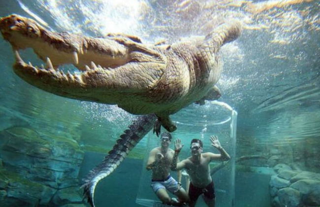 Zen Serene Seascape Family Pool BBQ Markets - Foto 34