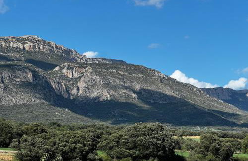 Apartaments La Pertusa 2o - Foto 8