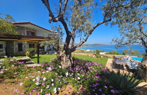 Yialasi Hotel - Foto 2