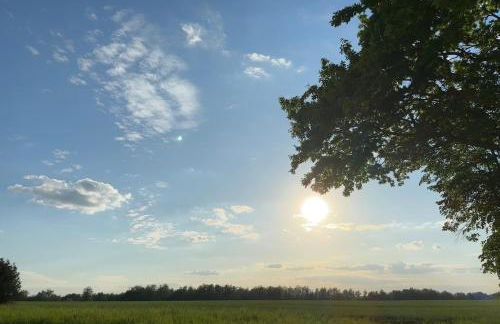 Großzügiges Landhaus mit Pool & Kamin - ideal zwischen Leipzig und Dresden - Spacious Country House with Pool near Leipzig & Dresden - Foto 21