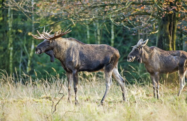 Hotel Katkavaara Aurora Apartments - Foto 41