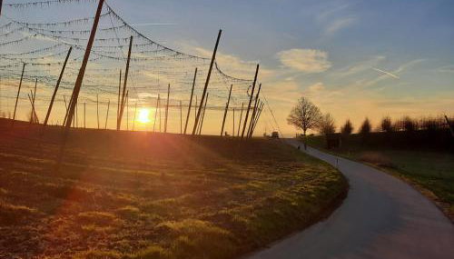 Am Dorfweiher - Photo 5