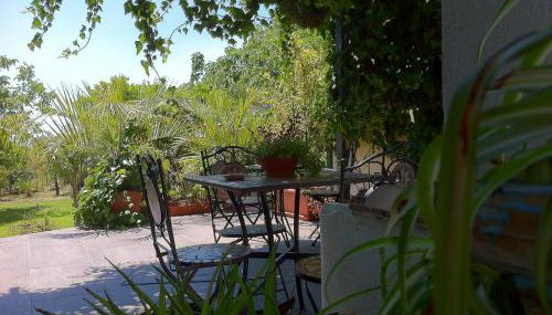 Mamma Etna - Foto 1, Garden