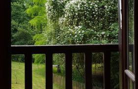 gite au jardin de grand-père - Photo 20