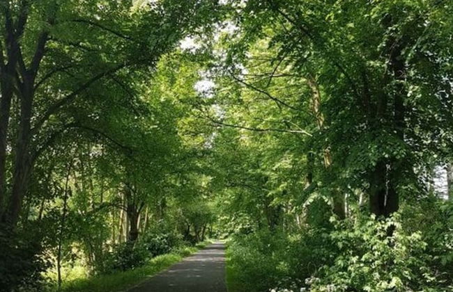 Holiday Home Babow Comfortable Vacation Home - Foto 13