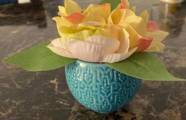 Coastal Studio - Foto 22