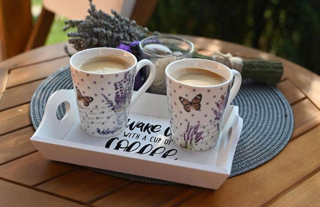 Lavanda Land - Villatanya Mrežnica - Foto 19