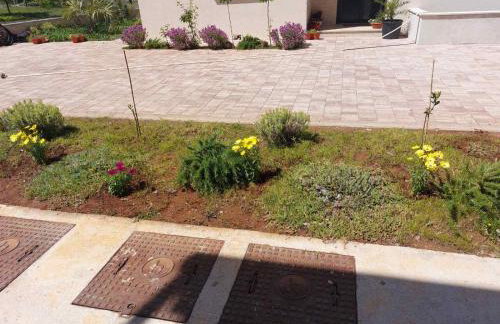 Blue harmony 2 - Foto 24