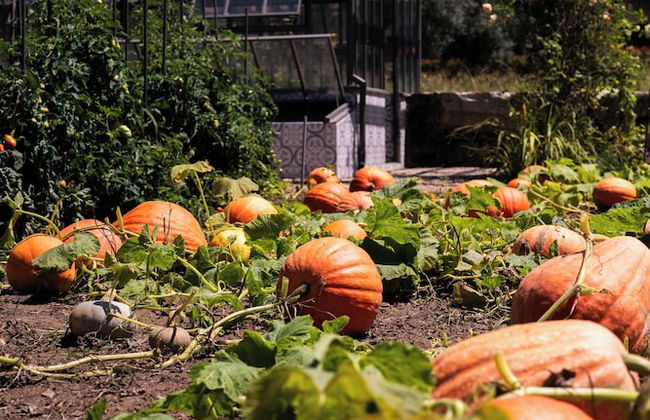 Vinte-Quinta da Boavista - Photo 50