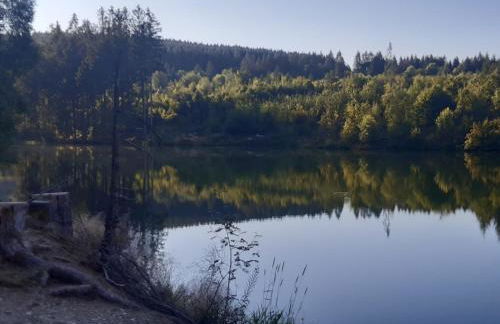 Harz-Forest-Inn - Foto 23