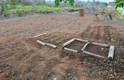 Finca Mamposo - Foto 12