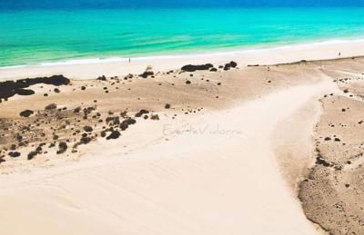 ELE HAUSE Blancamar - Photo 23