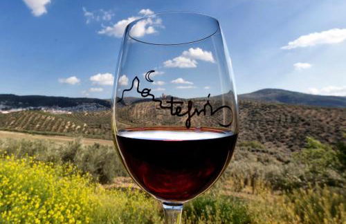 El Bujeo Montefrio - Foto 23