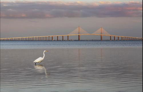 Spacious Home Sleeps 16 - Private Pool Near IMG - Foto 16