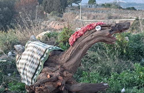 Ca la Maria - Foto 37