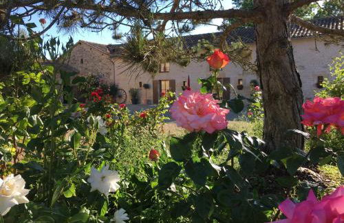 Gites dans les Champs - Foto 2