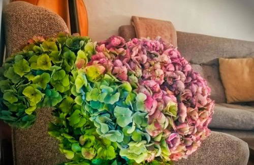 A Casiña do Anselmiño - Foto 44