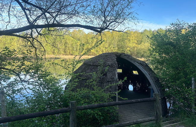 L'Orée du Bois du Domaine des Hauts de Rouquette - Foto 30